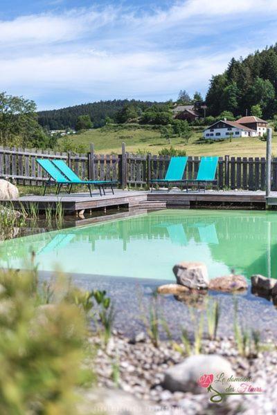 Le Domaine Des Fleurs - Appartement La Gentiane Gerardmer Exterior photo